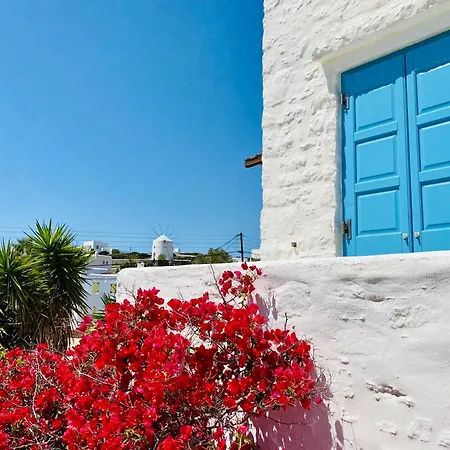 Santa Maria Traditional Stone *