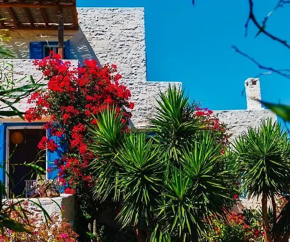 Santa Maria Traditional Stone * 圣玛丽亚