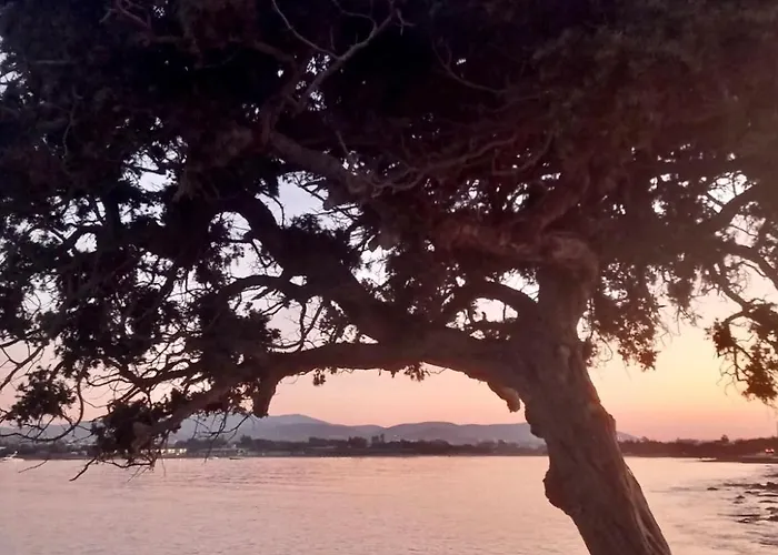 公寓 Santa Maria Traditional Stone 圣玛丽亚