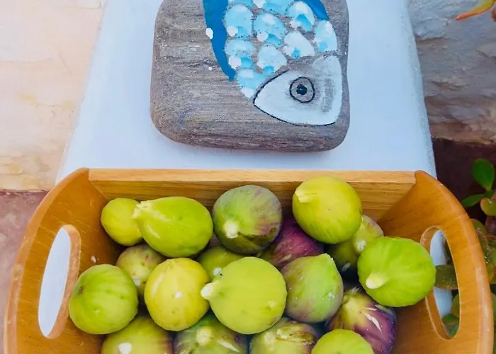 公寓 Santa Maria Traditional Stone 圣玛丽亚