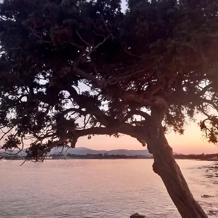 Lejlighed Santa Maria Traditional Stone Santa Maria (Paros)