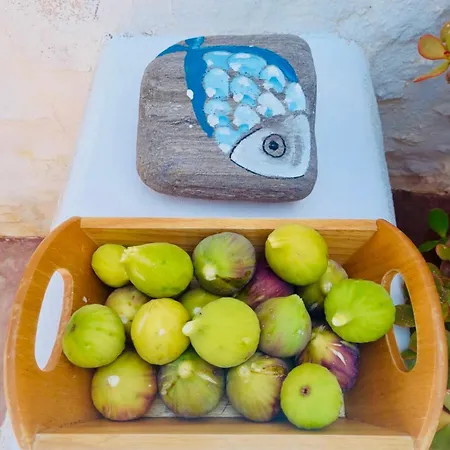 Apartment Santa Maria Traditional Stone Santa Maria (Paros)